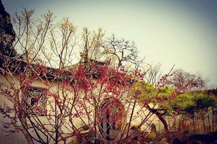 江南园游北国,山石情忆故人。(苏州方言、普通话双语诵读特辑) 知乎