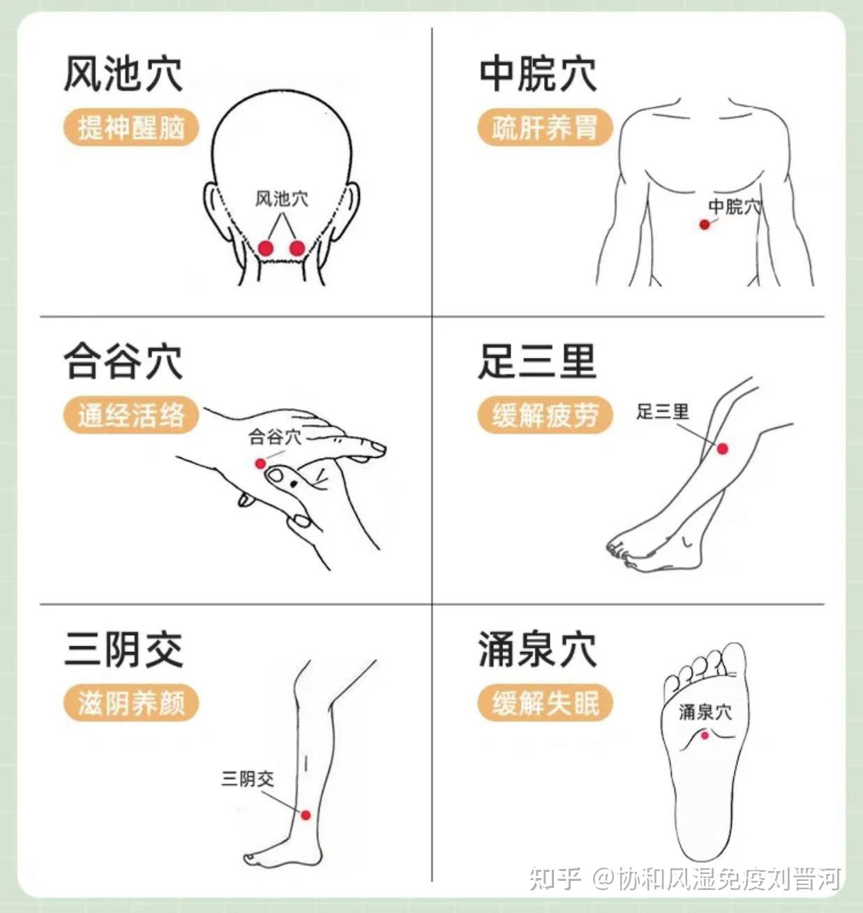 13组中医养生按摩穴位