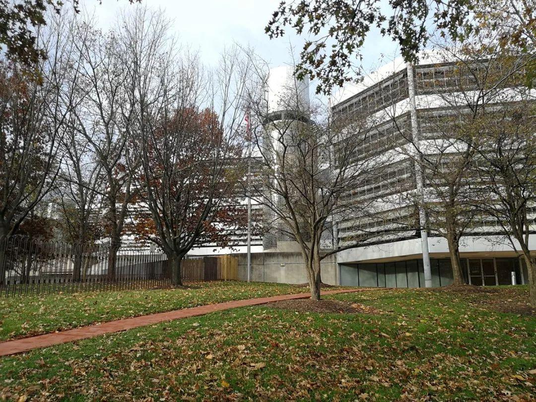 入群看直播啦今晚11点群内直播whittleschool华盛顿校区开放日