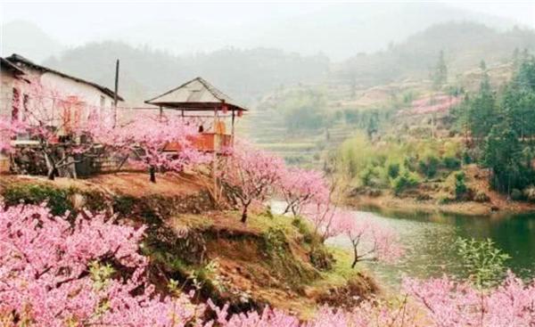 《桃花源记》描绘的并非是人间仙境,文中3个细节透露出恐怖真相