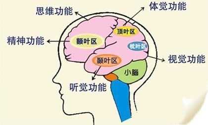 怎么拥有超强的记忆力 v2-87170e9145c04aad3aa46a0a9ce90ca9_b.jpg