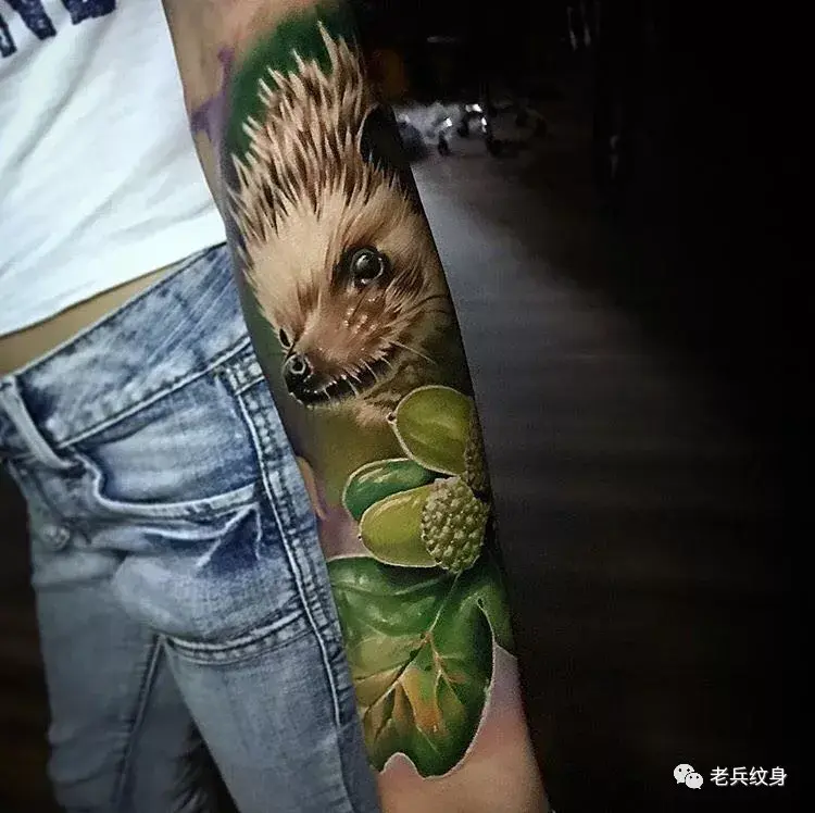 纹身素材——刺猬纹身素材 - 知乎