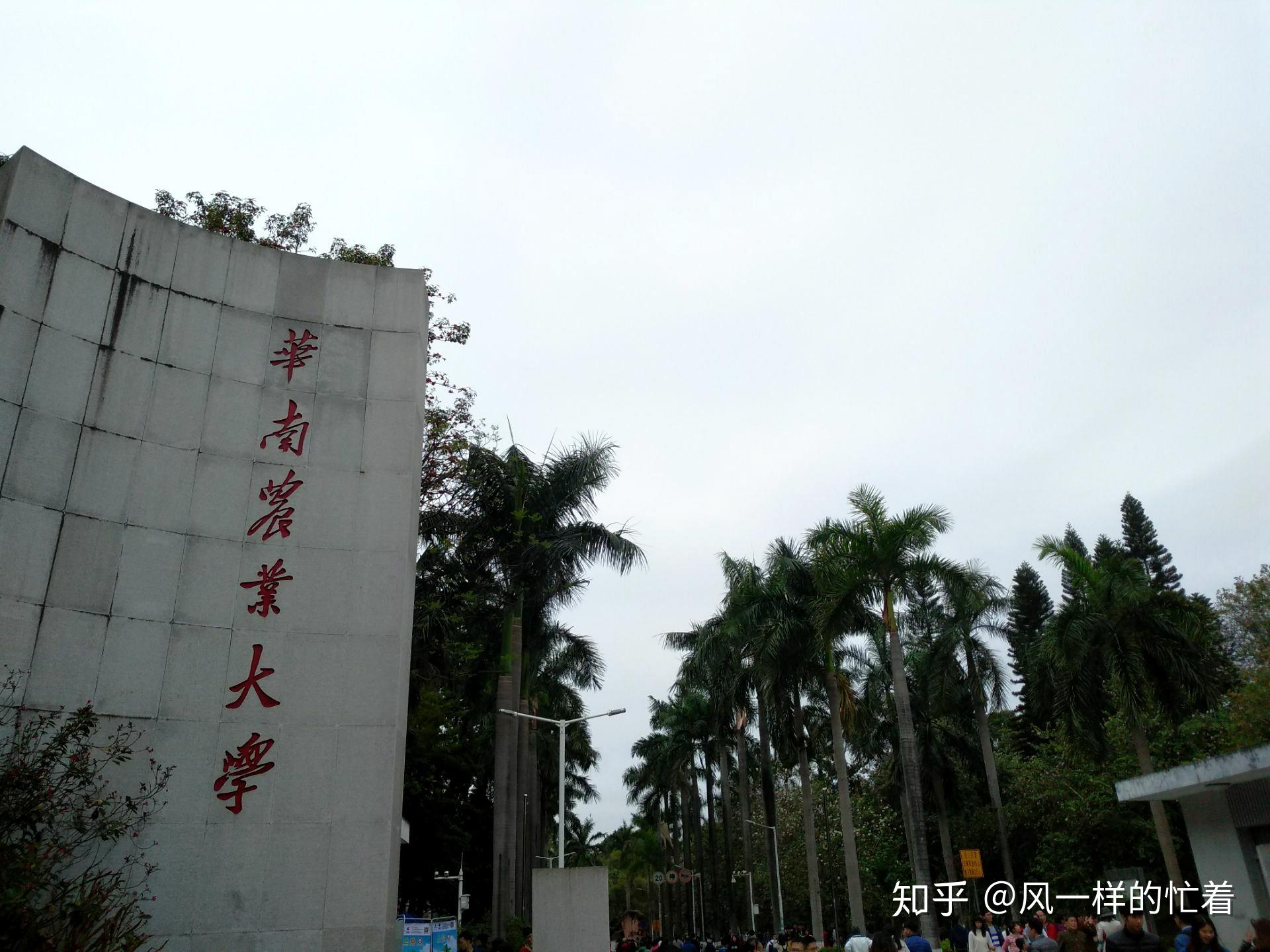 要说广东省哪一所大学,最有希望晋级下一轮双一流,那应该就是华南农业