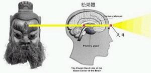 【三星堆】神秘文物探源(4)苏美尔“松果球”、天目与智慧之树 - 知乎