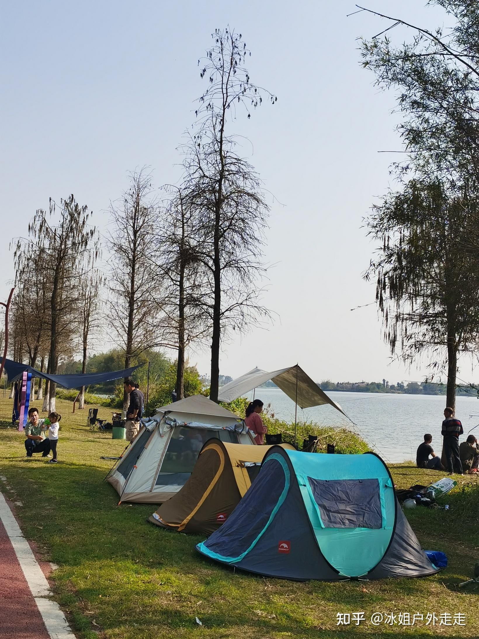避暑胜地!广州8家吸氧湿地公园 - 知乎