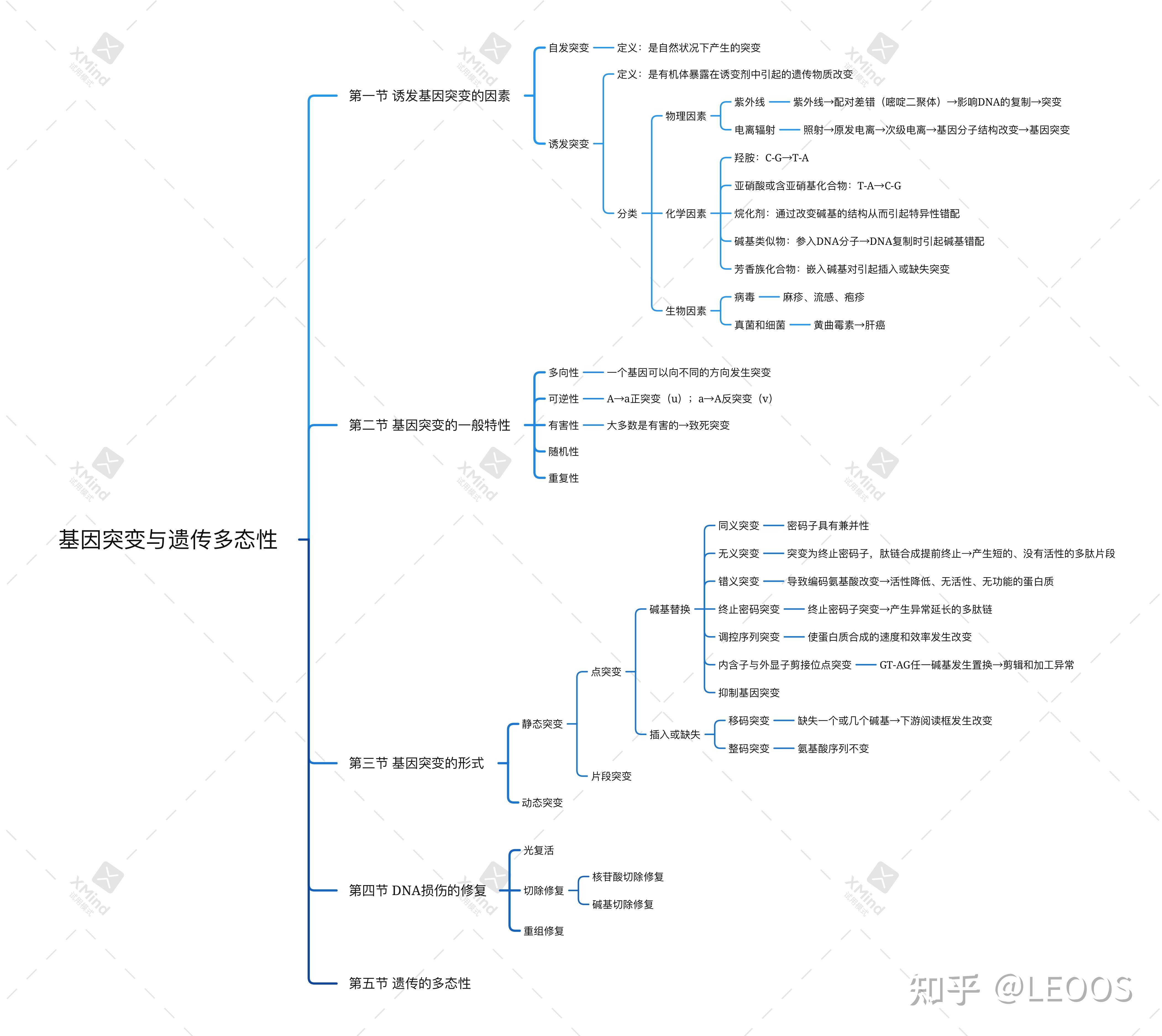 醫學遺傳學思維導圖部分