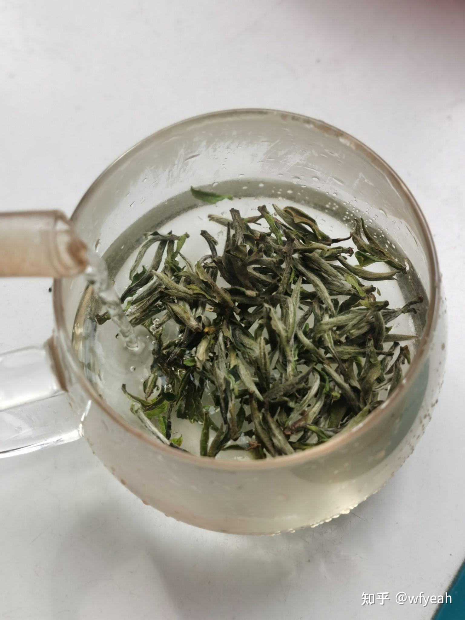 新白茶玻璃杯泡也很好喝