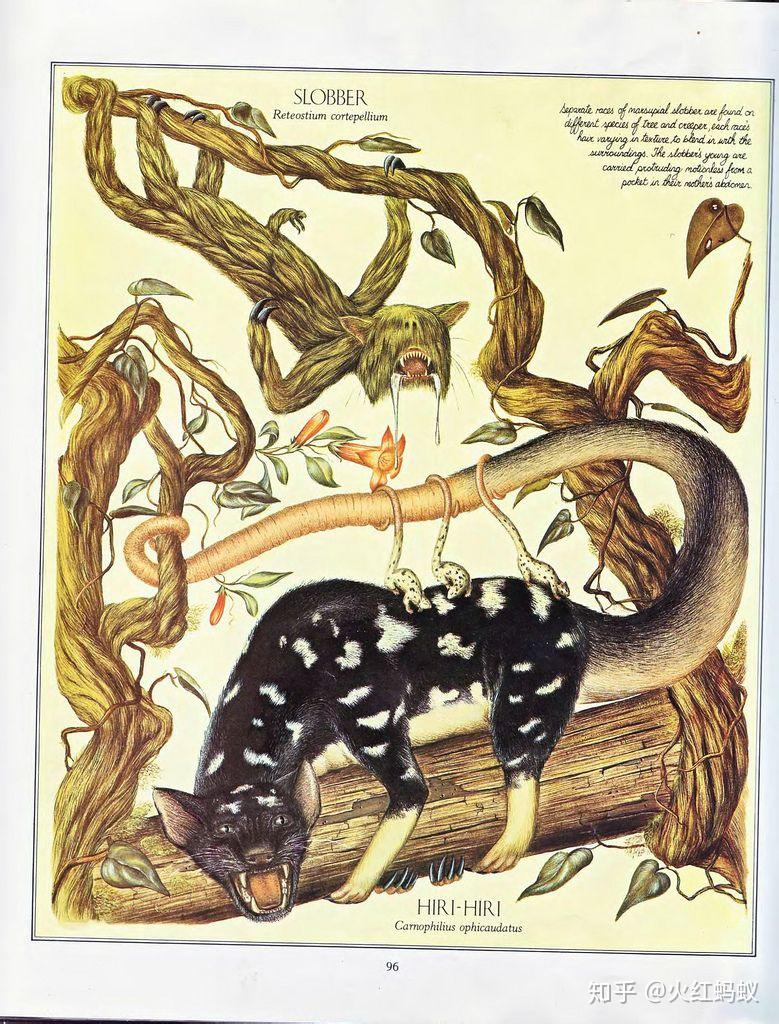 人类灭绝之后的动物 - 知乎