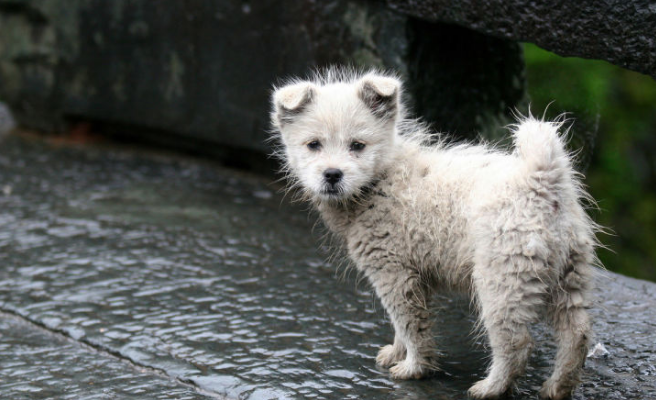 搞清楚Spring Cloud架构原理的这4个点,轻松应对面试 搞清楚Spring Cloud架构原理的这4个点,轻松应对面试