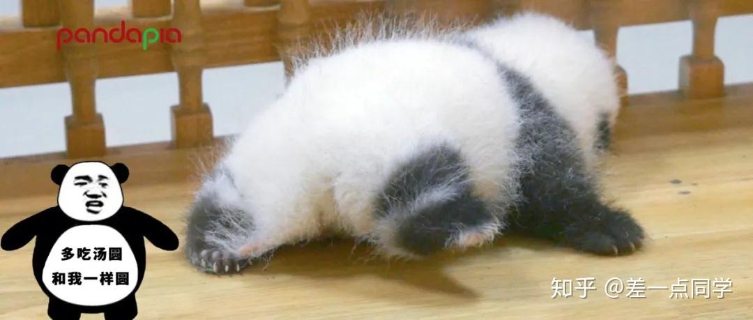 怎么才可以当上动物饲养员 v2-876d0327916fb47f186f7d9343567015_r.jpg