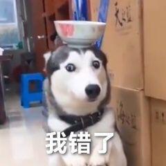 v2-877940409b45e4e52374fa2990b1c62d_b.jpg