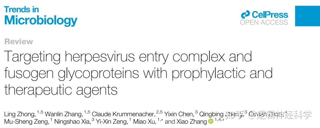 Trends Microbio 综述︱靶向人类疱疹病毒入胞复合物和融合蛋白的预防及治疗药物 - 知乎
