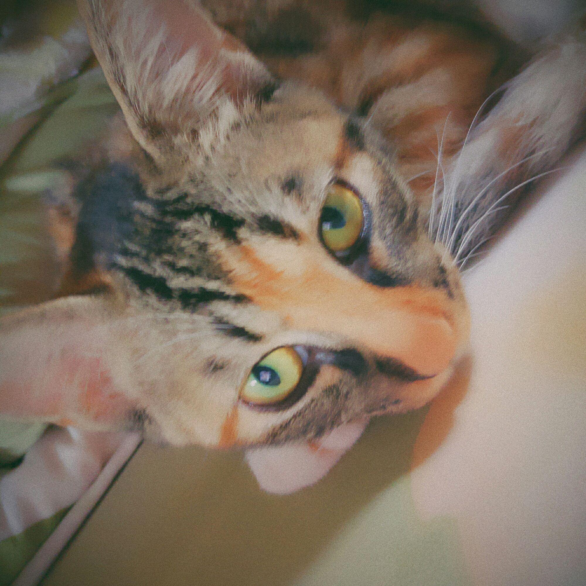 v2-8789f1cf8ba7e39080d5fdab89088b6b_r.jpg