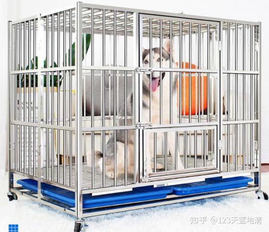 狗笼子推荐这几款,狗笼子图片及价格尺寸大小 - 知乎