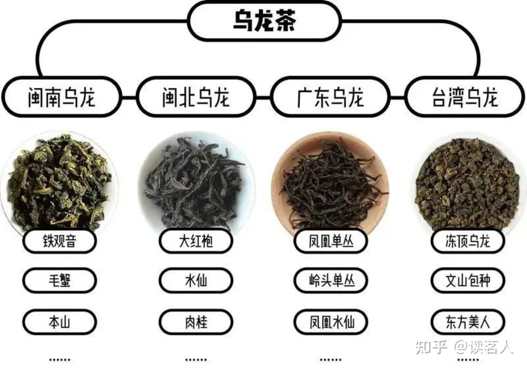 同样是茶，为什么有那么多不同的颜色——按照氧化程度给茶叶分个类 - 知乎