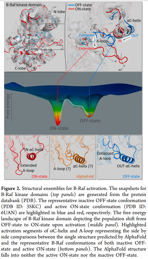 AlphaFold、人工智能(AI)和蛋白变构 - 知乎