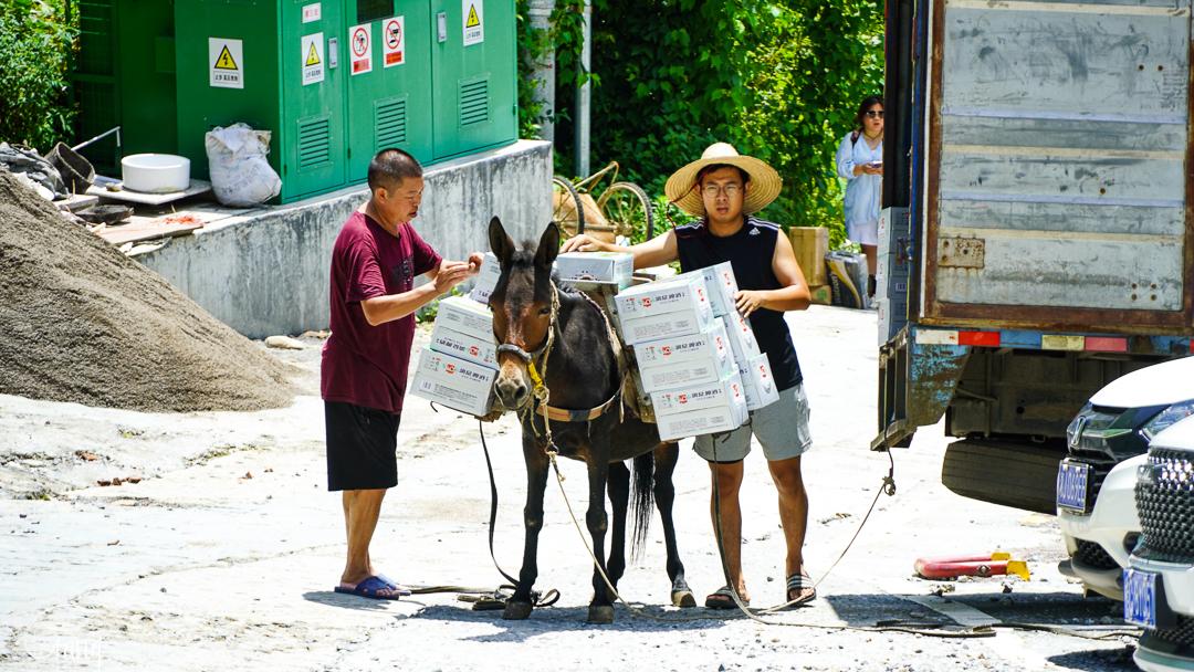 聞名全國的龍脊梯田所在地平安村新貌一磚一瓦都需要從山下運輸