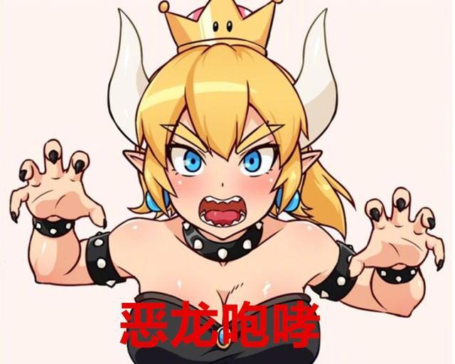 全新的ns版本在wii u原版基础上追加"偷天兔"和"奇诺比姬公主".