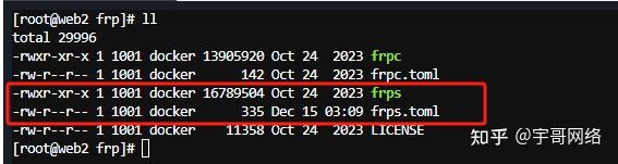 如何搭建frp内网穿透？  第1张