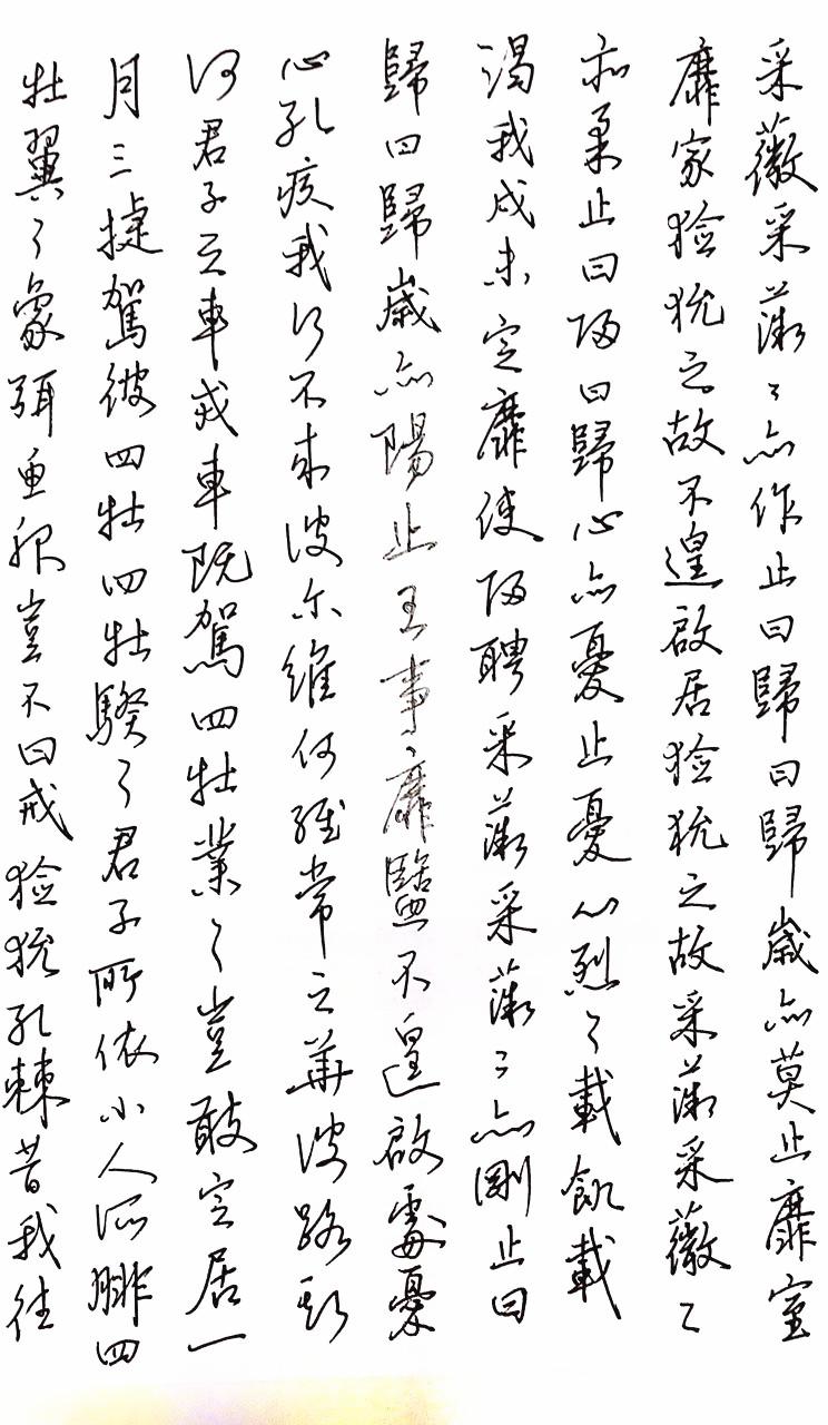 诗经小雅采薇钢笔字笔友习作欣赏