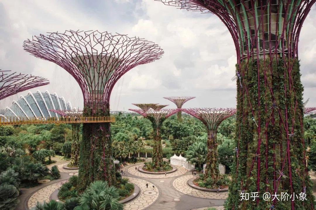 新加坡有一个空中花园这有你想不到的都市仙境