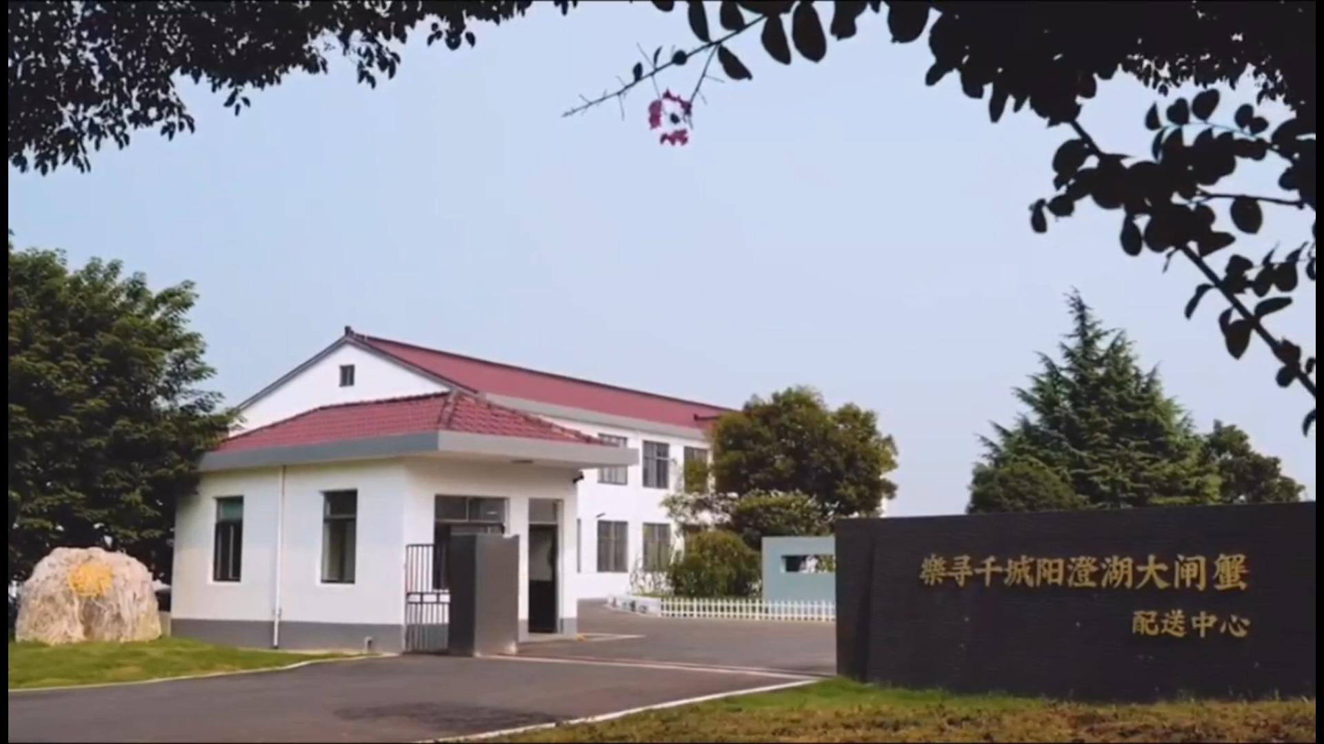 点击可播放视频