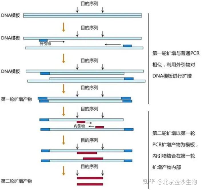 小知识 | PCR扩增那些事(三) - 知乎