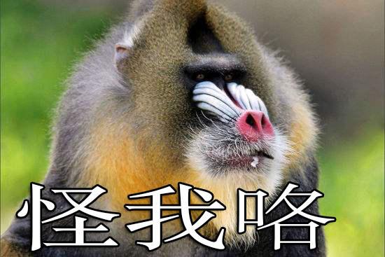现实中存在的 小鬼 细数那些名字神秘恐怖的动物 知乎