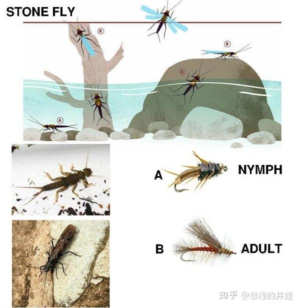 【地球演义】六足传奇10:钻天入地