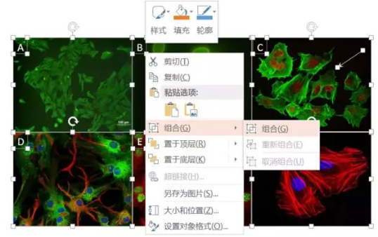 科研实用小技巧——PPT排版组图 - 知乎