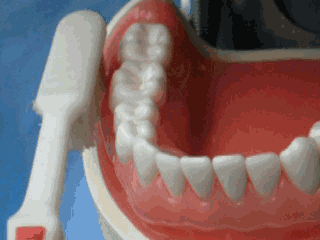 v2-880b3333c00300769a51895432a54339_b.gif