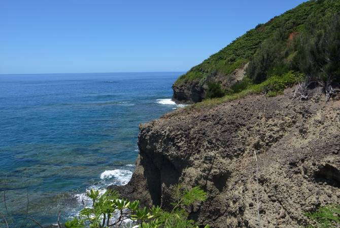 在母島上,你可以登上小笠原群島中有人島的最高峰乳房山從鮫崎展望臺