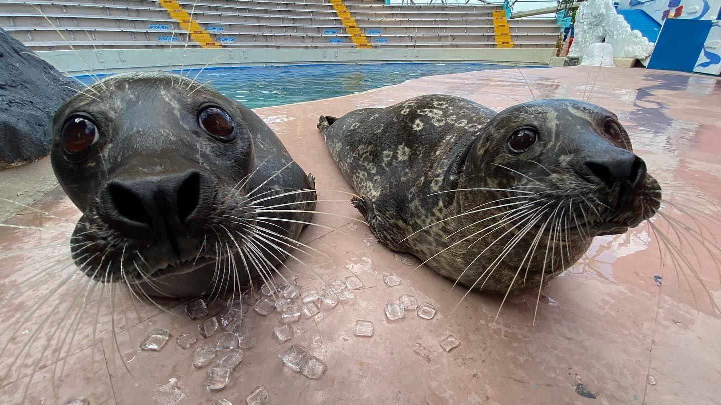 迈阿密水族馆图片