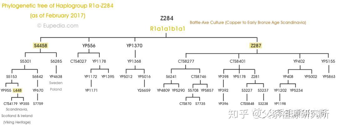 父系单倍群r1a