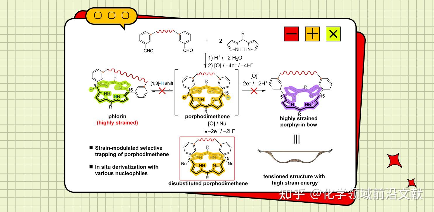 西湖大学刘志常团队Materials Today Chemistry：利用分子张力工程精确调控化学反应路径的选择性——选择性机械捕获