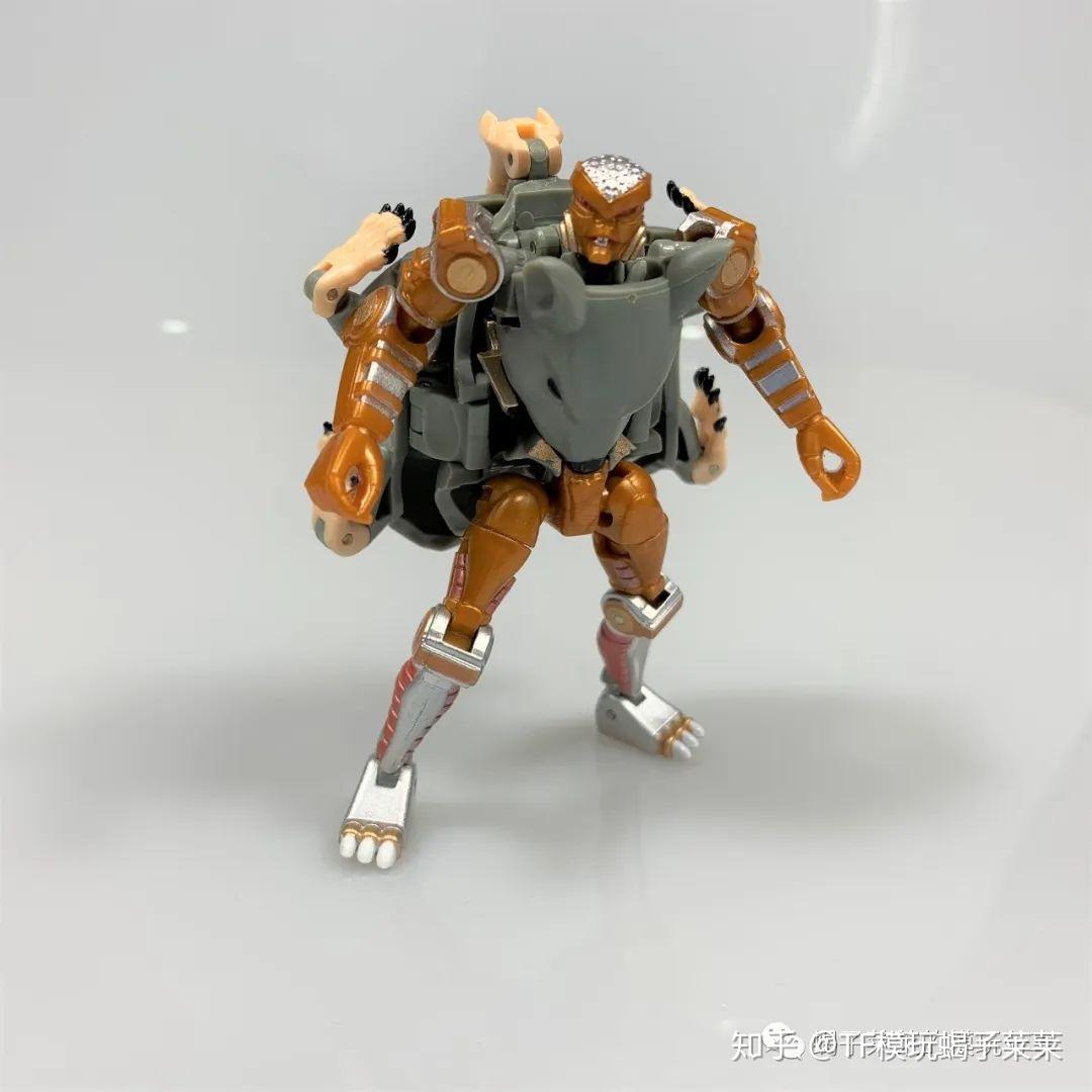 蝎子莱莱的模玩分享70掌上的精灵鼠te老鼠勇士