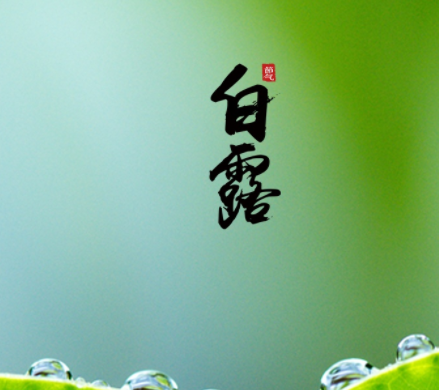 v2-886b5ad17b2fbfb6dbff7f3ddef21981_1440w.jpg?source=172ae18b