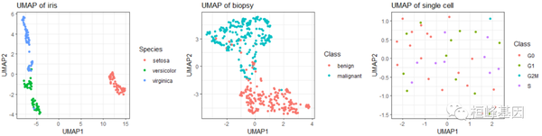 MachineLearning 13. 机器学习之降维方法UMAP及可视化 (umap) - 知乎