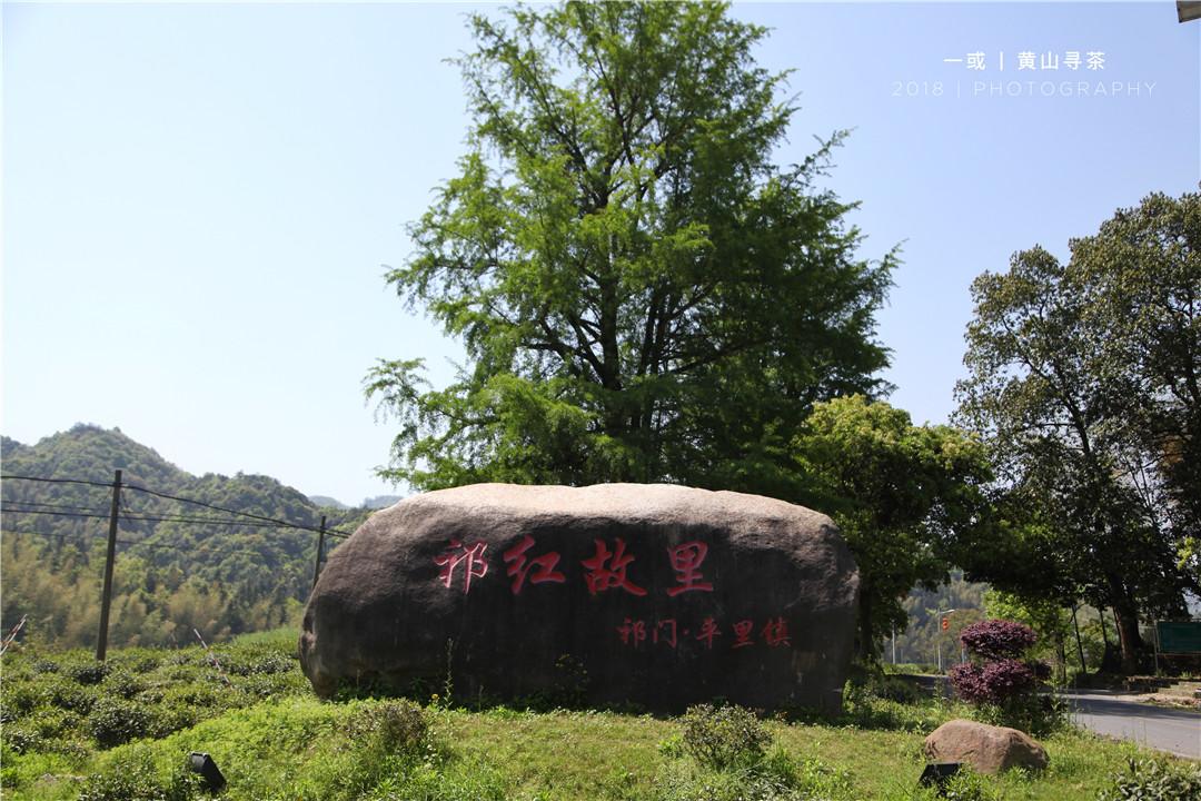 祁门红茶的过往今生