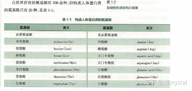 组氨酸在人体内为什么算必需氨基酸? - 知乎
