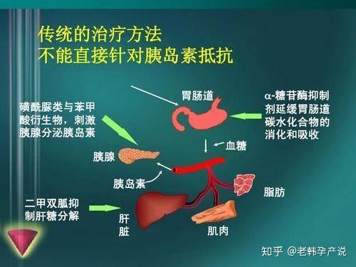 10个多囊8抵抗多囊必学的胰岛素抵抗知识