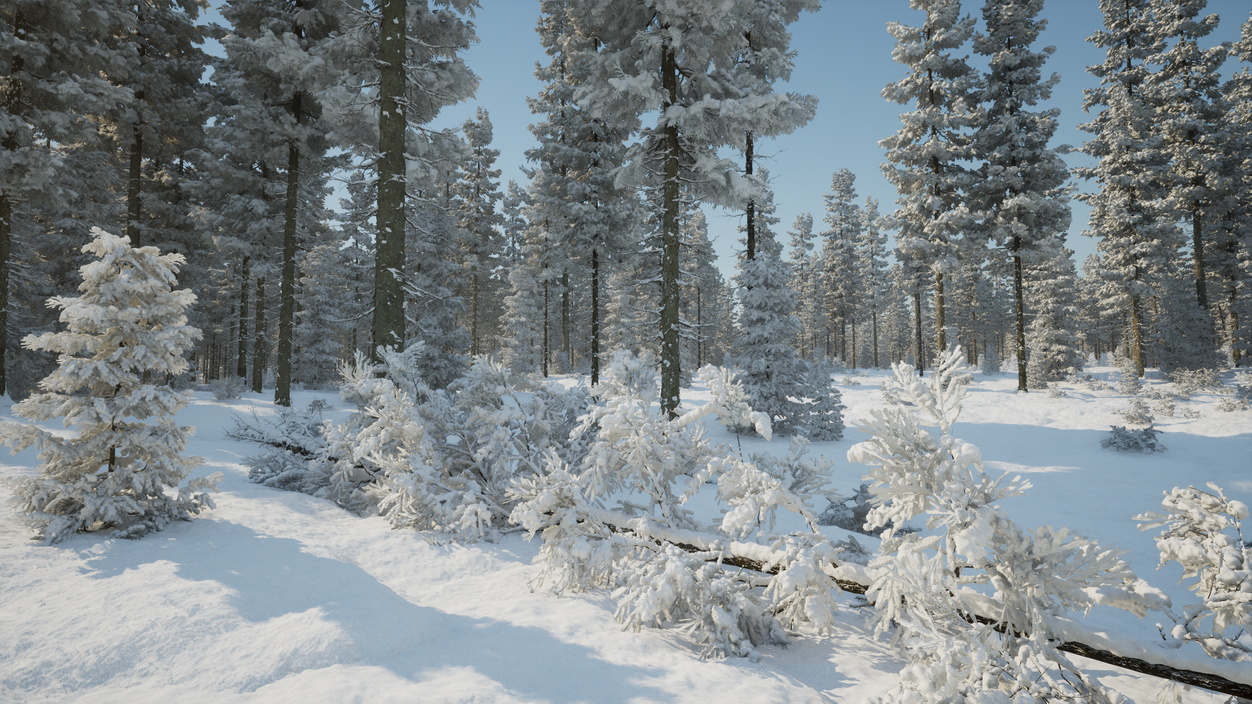 [官方直播预告] 第45期 | ue5 nanite森林雪景制作经验分享