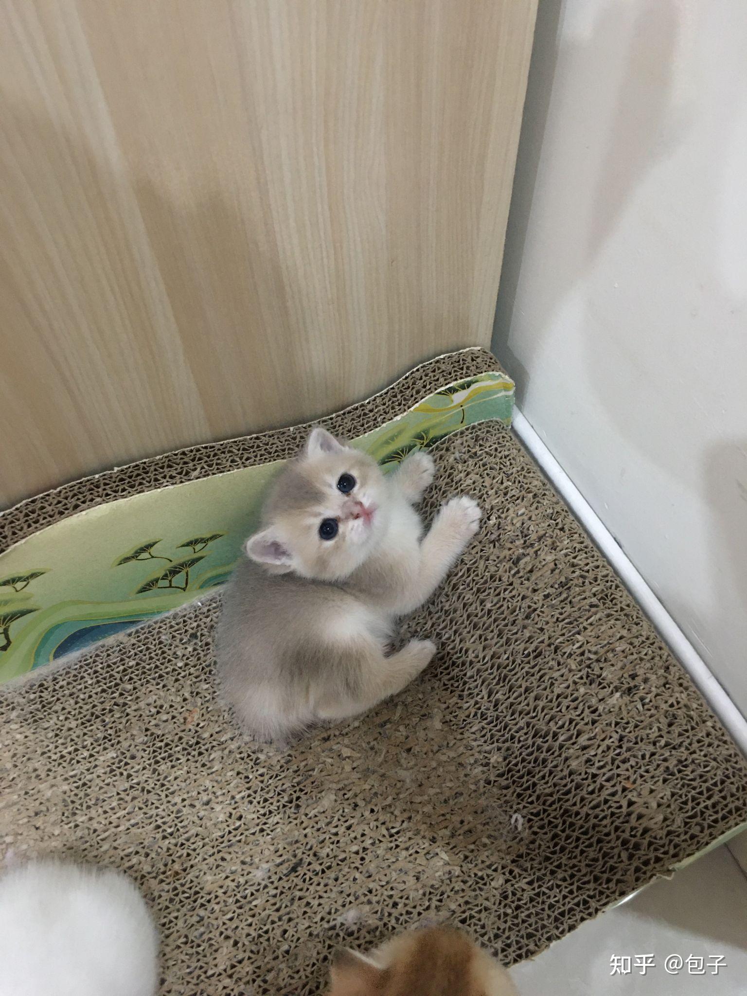 金句来了！习主席在博鳌亚洲论坛2022年年会开幕式上的主旨演讲金年会- 金年会体育 注册即送88元- 金年会官方网站