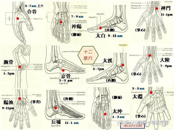 【医巽一坤】针灸、经络、穴位歌诀汇总，太值的收藏了！（一） - 知乎
