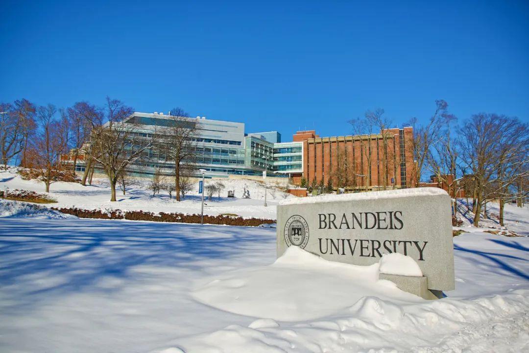美国最年轻大学之一布兰迪斯大学对国际生友好它是top50中的绝佳保底
