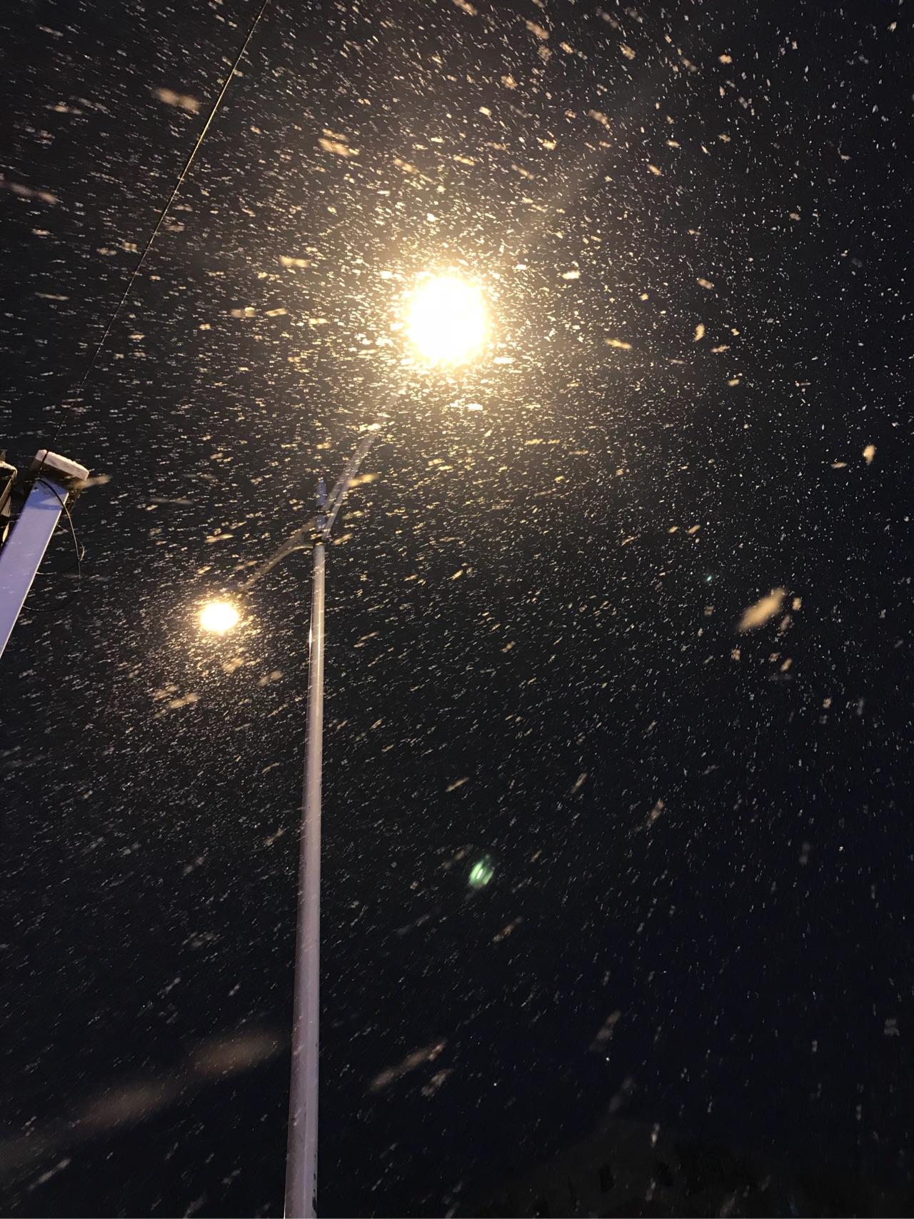 你的城市下雪了吗,可以用视频分享雪天可以做的有趣事情或者雪景吗?