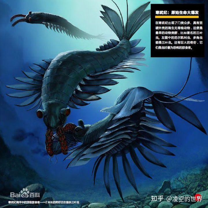 盘点地球各时期的生物霸主——（一）古生代 - 知乎