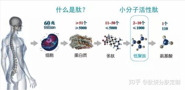命案影视解说