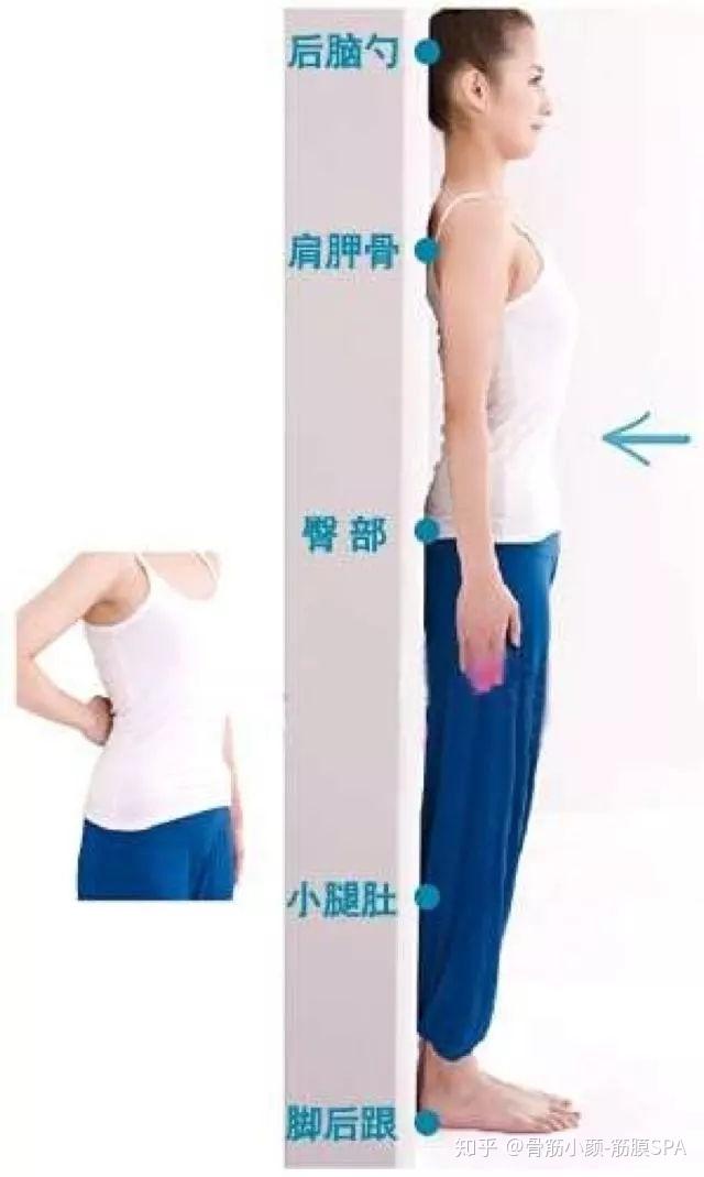 v2-88c3e57d386bdb80bbf3a989ac7f7625_r.jpg
