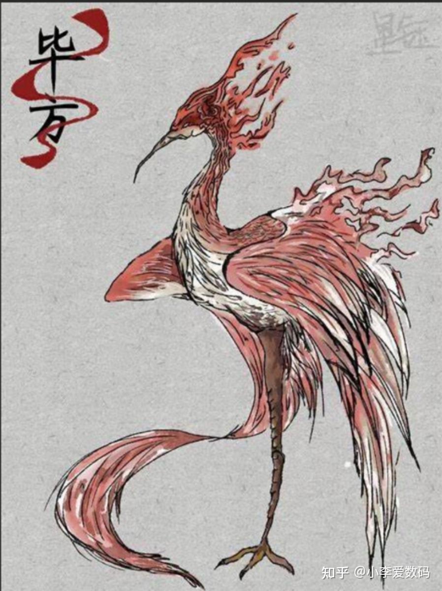 SKN 毕方矮茶轴键盘使用体验:文化与实用的结合之作? - 知乎